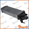 Intercooler pour RENAULT | CNG-RE-011, 96308